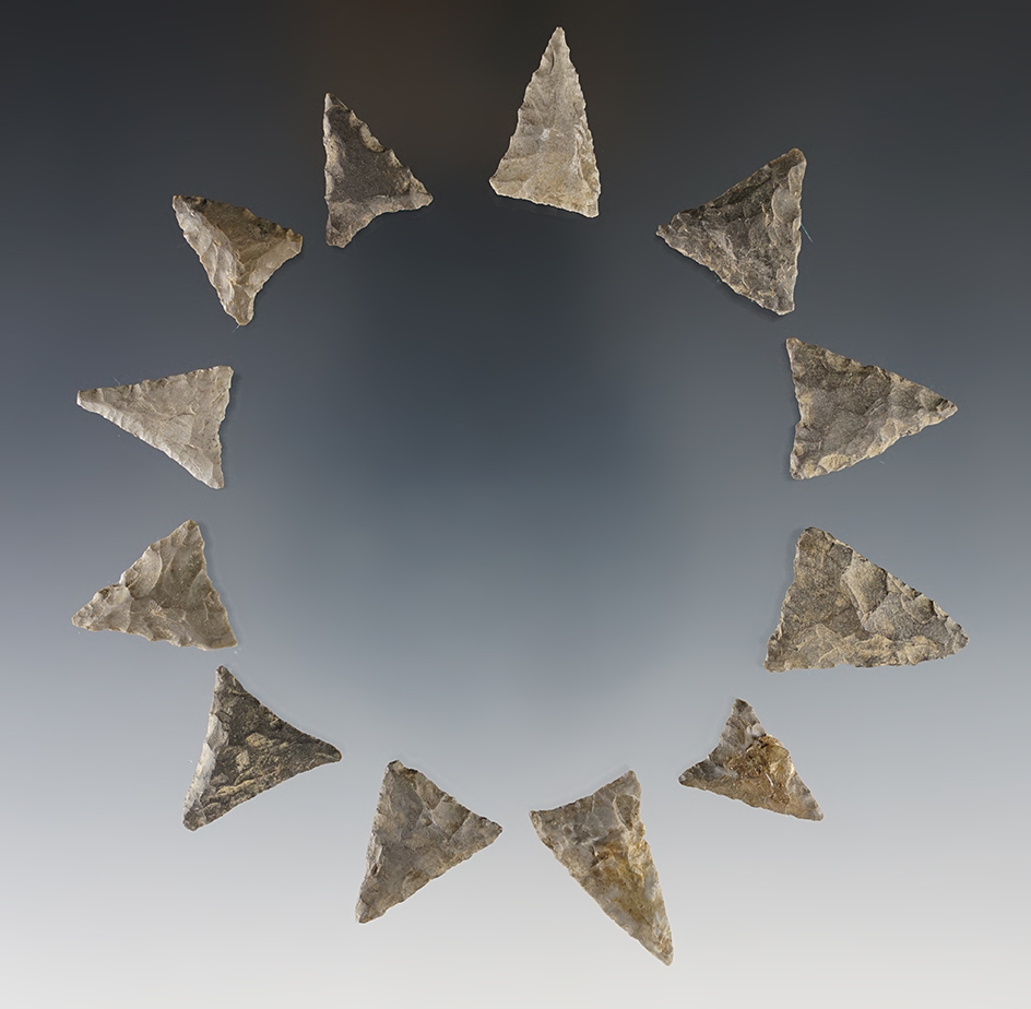Set of 12 Triangle Arrowheads found in Cayuga Co., New York. The largest is 1".