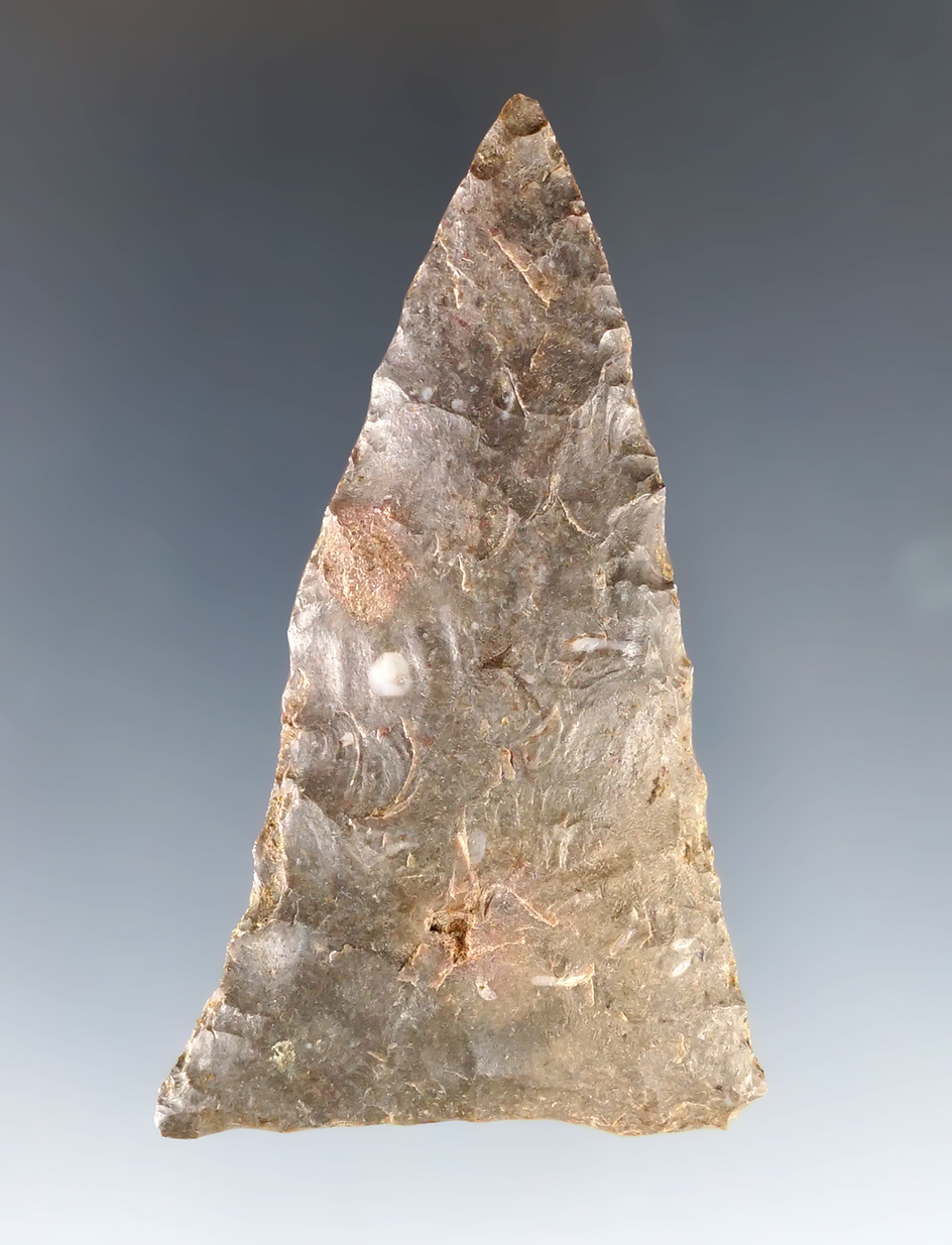 2 5/8" Copena Triangular found near Dexter, Callaway Co., Kentucky. Comes with a Bennett COA.