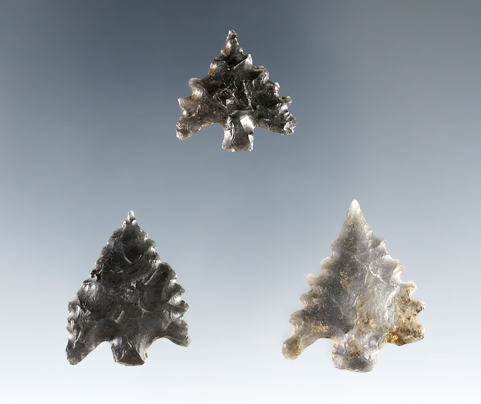 Set of 3 nice Calapooya Points found in Southern Oregon. Ex. C.L. Pugh Museum. The largest is 1".