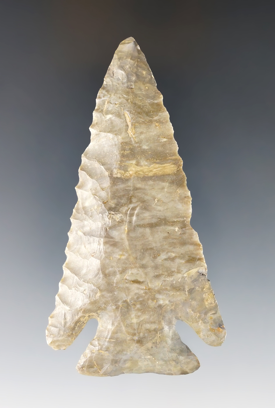 3 1/2" Lost Lake - Knox Co., Indiana with restoration to one corner of base, one ear, and at tip.