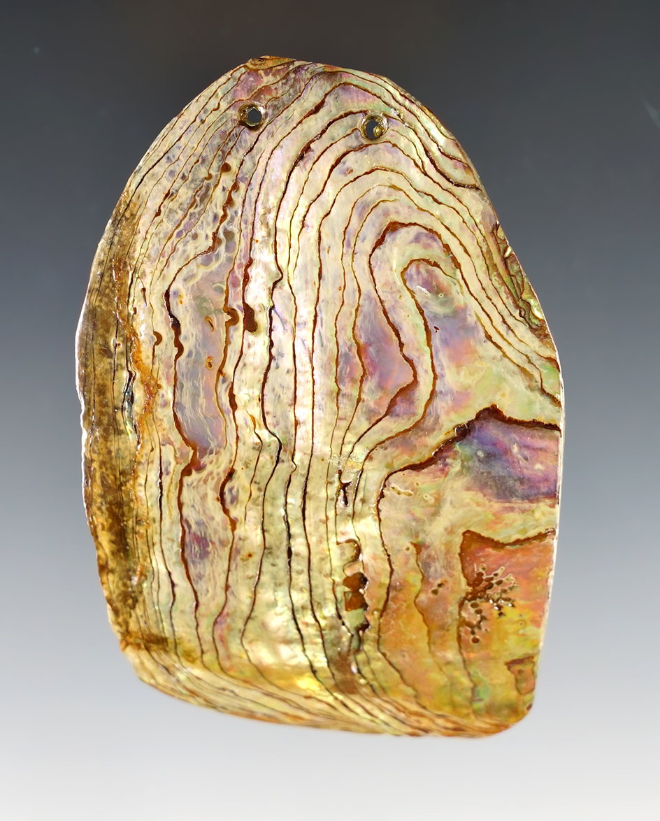 3 1/4" beautiful large abalone shell two hole pendant/gorget found in Colusa County California.