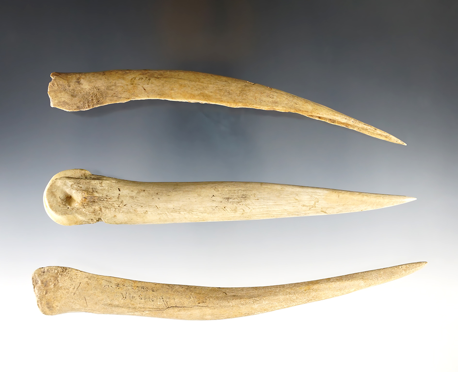 Set of 3 nice Bone Awls found around Kepps Island, Montezuma Swamp, New York. Largest is 6 1/2".