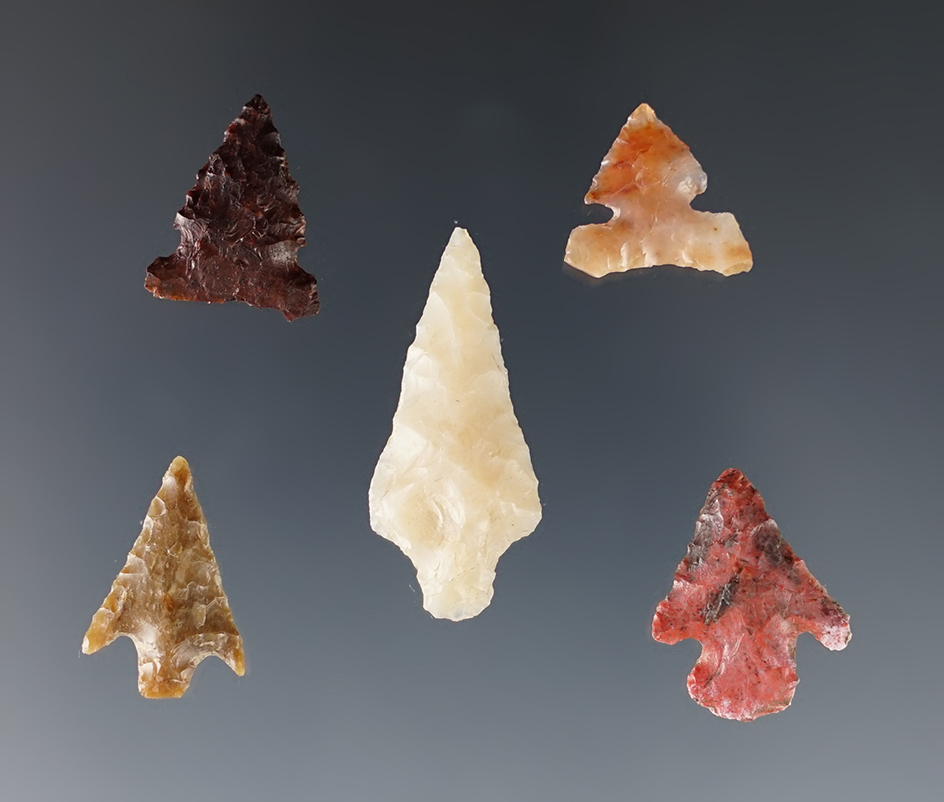 Set of 5 nice Points found close to the Columbia River. Ex. Wilke Museum. The largest is 1 1/16".