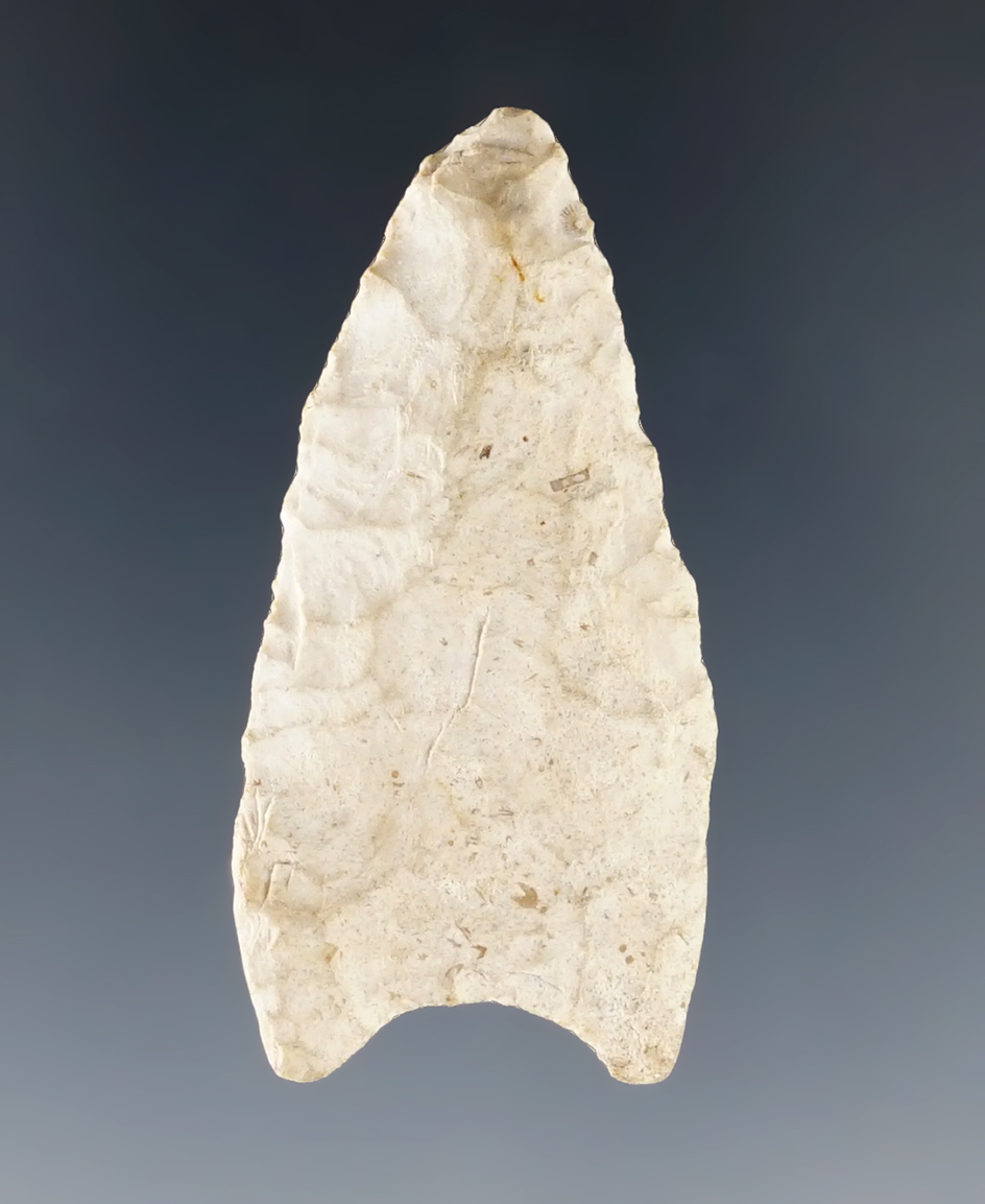 1 5/8" Illinois Paleo Dart Point with excellent grinding to the basal area.