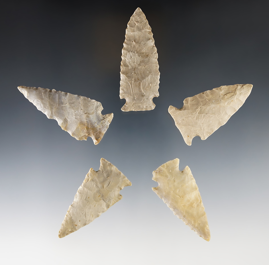 Set of 5 well flaked Points found in Texas. The largest is 2 3/8".