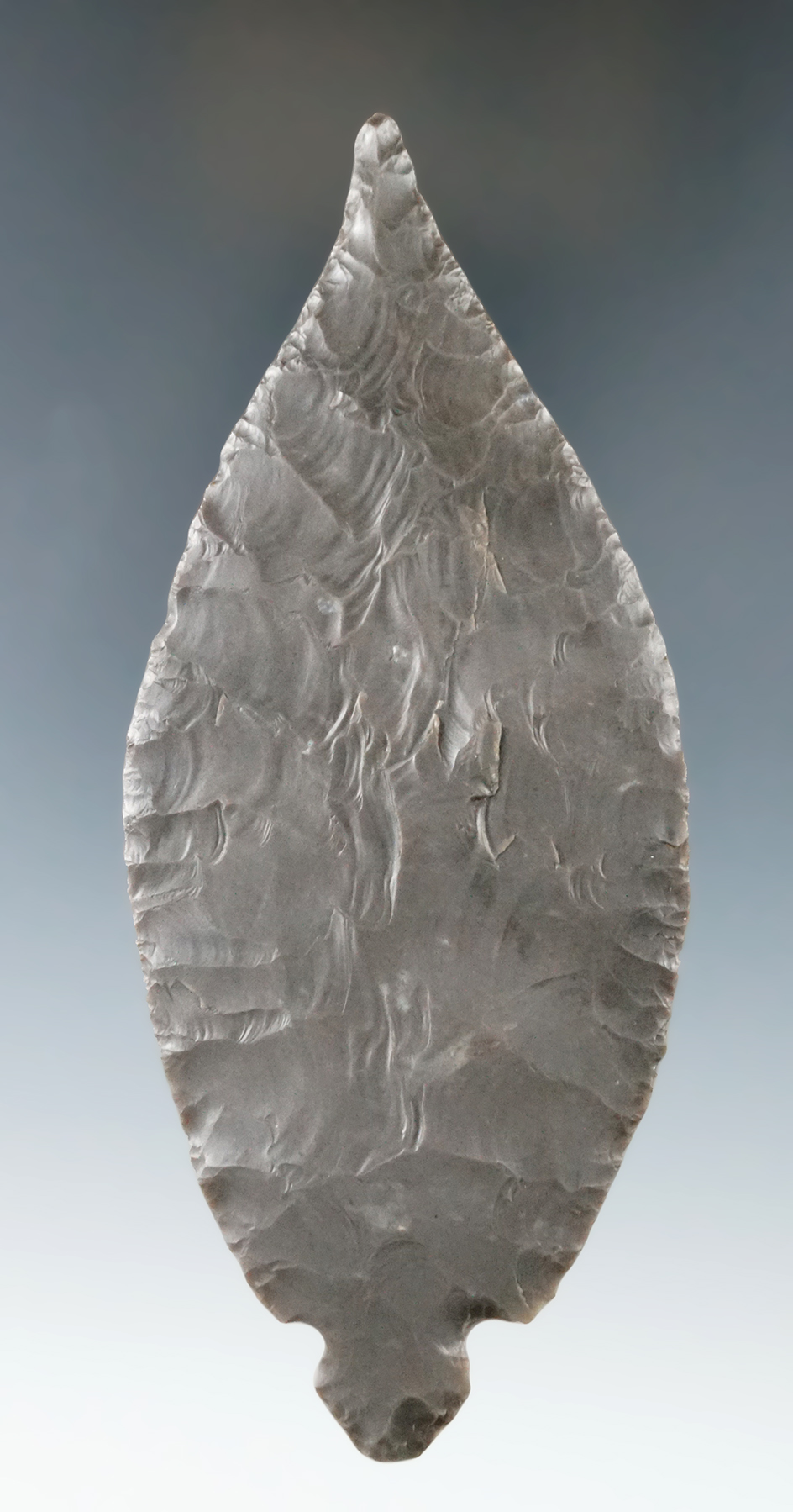 Sale highlight! Thin with perfect flaking 5" Red Ochre Turkeytail - Berrien Co., Michigan. Ex. Towns