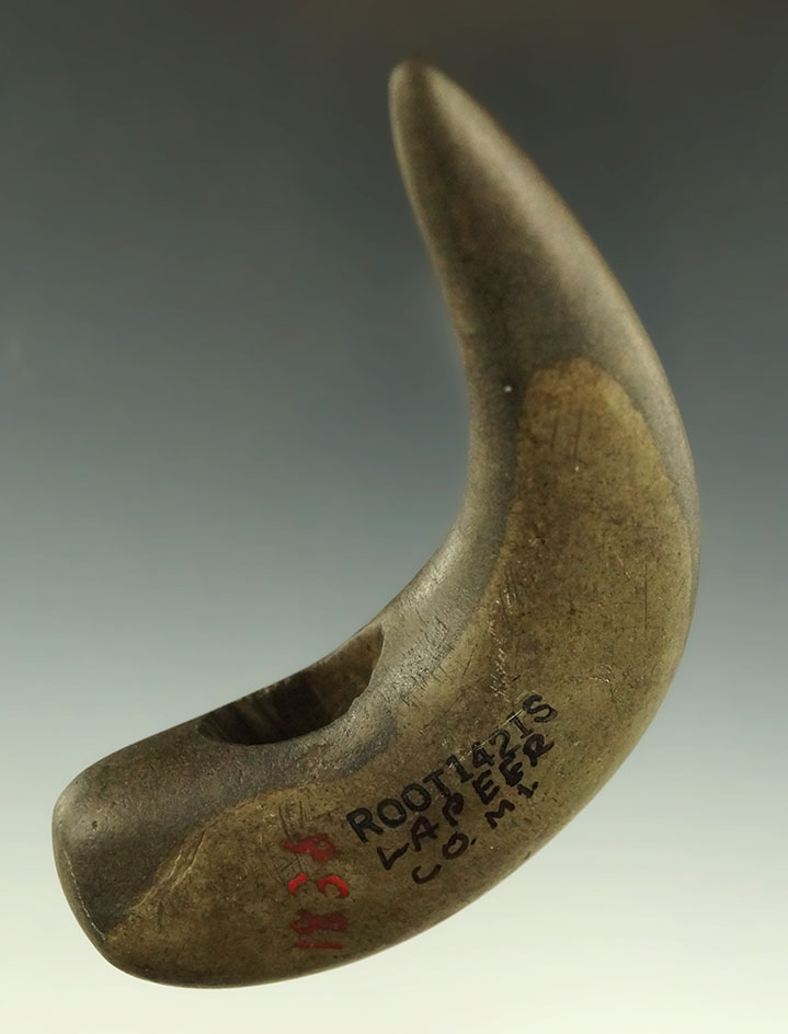 3 1/2"  Geniculatefound in Hadley Twp., Lapeer Co., Michigan. Pictured in the Bannerstone Book.