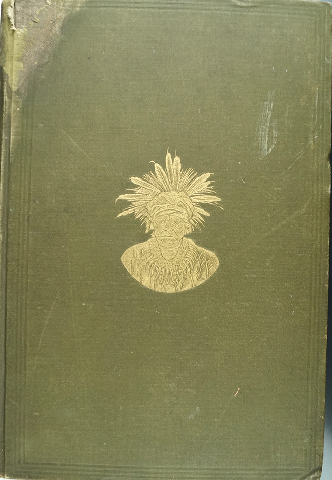 5 7/16"  Ancient Full Groove Axe in excellent condition that has been hafted in recent times for display purposes found in Mercer Co. Ohio.