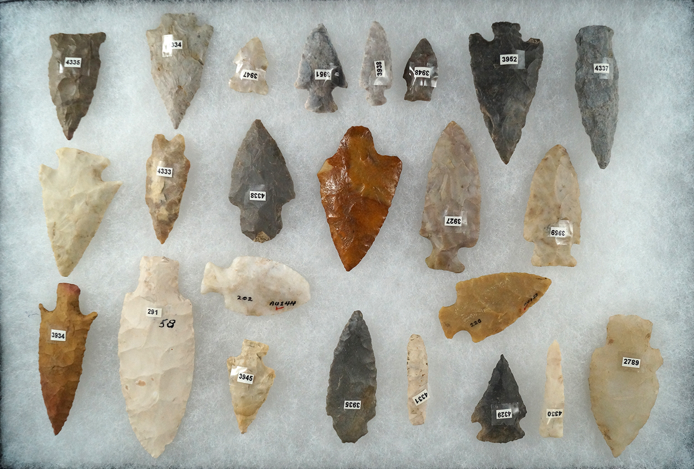 Group of 24 Assorted points, knives and drills from various locations, largest is 3 1/4".