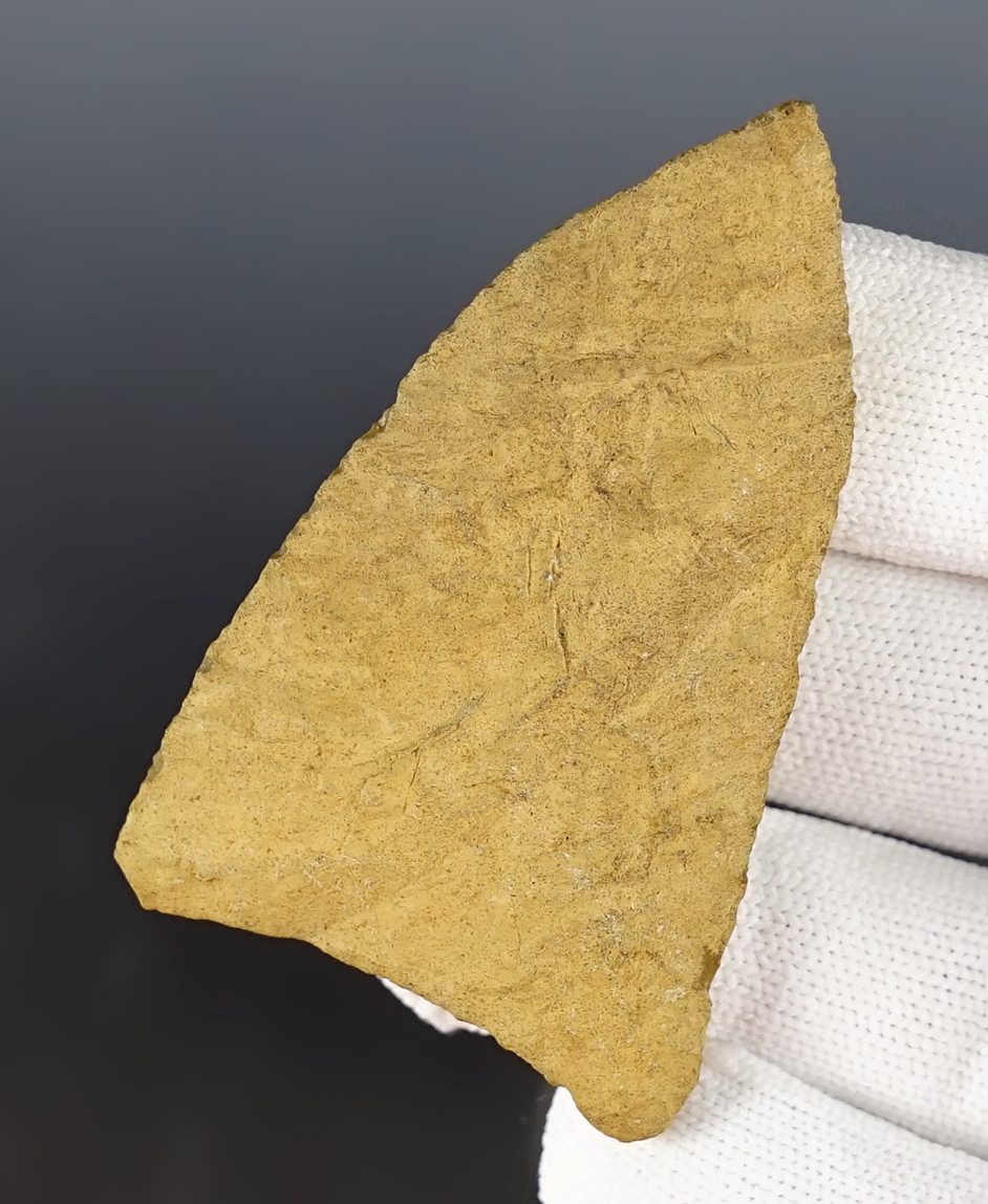 2 5/8" Texas Kinney in excellent condition. Well patinated.