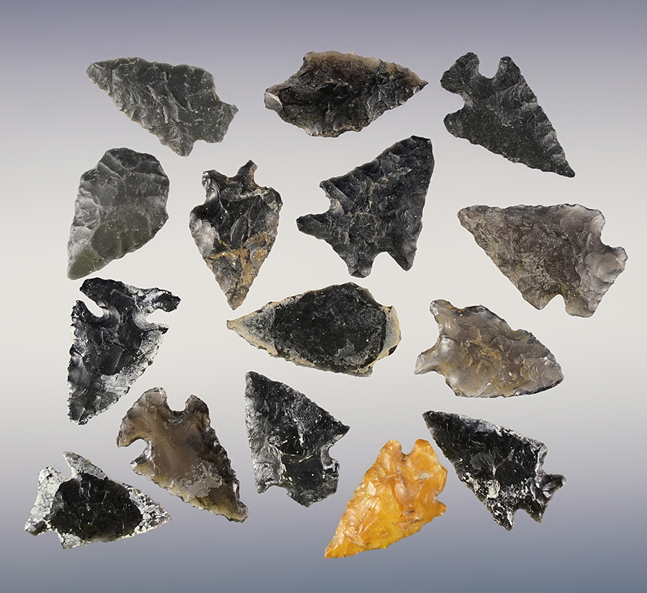 Set of 15 assorted points found in in the 1960's in Oregon. The largest is 1 5/16".