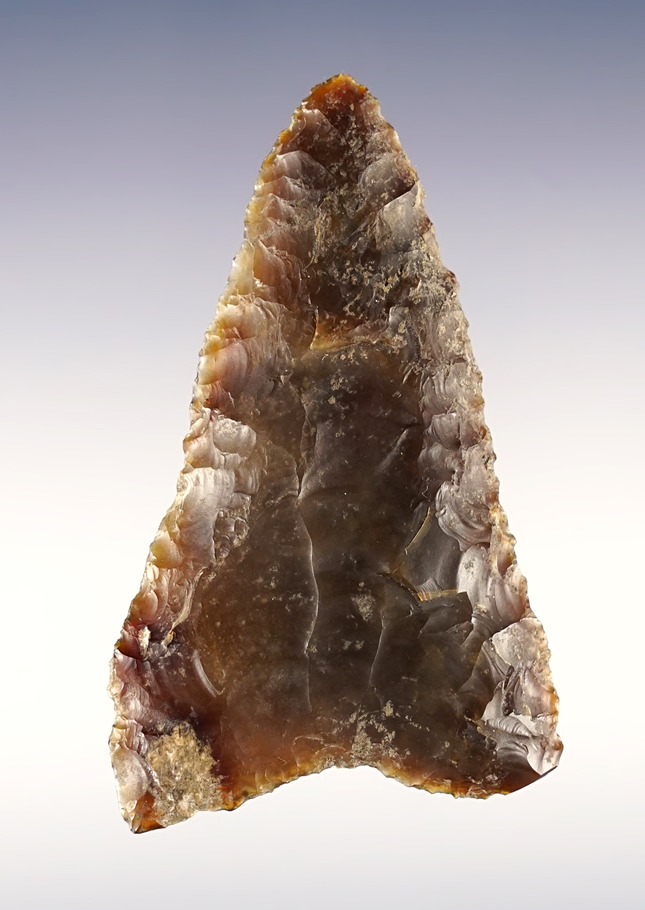 2 11/16" Columbia Mule Ear found near the Hood River, Oregon. Semi-translucent.