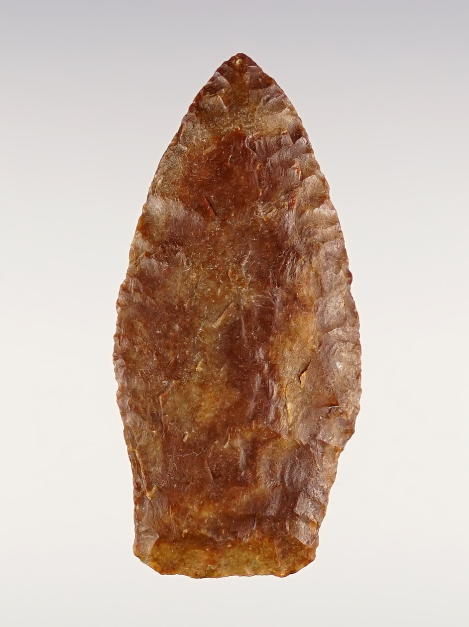 Superb 1 5/8" Paleo Spedis that is colorful and well made. Found close to the Columbia River.