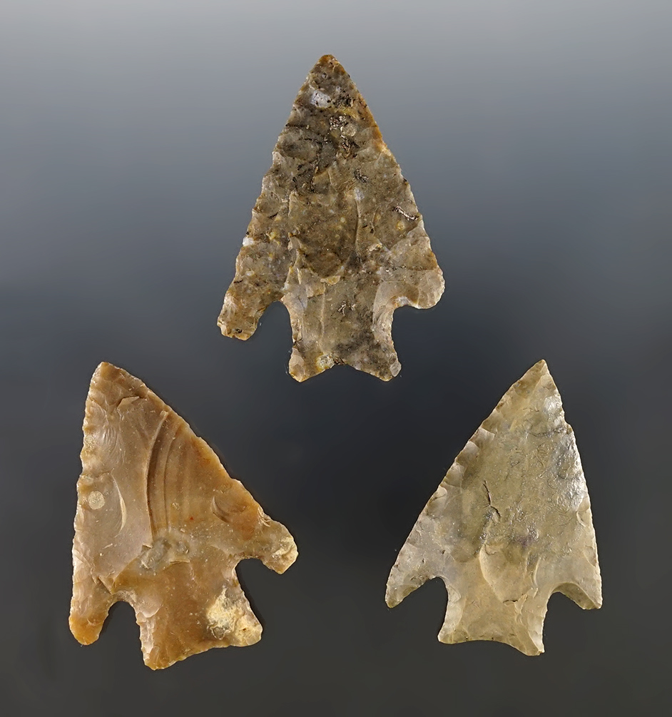 Set of 3 nice Texas Marshall points. The largest is 2 1/4". Certificate of Museum Deaccession. 