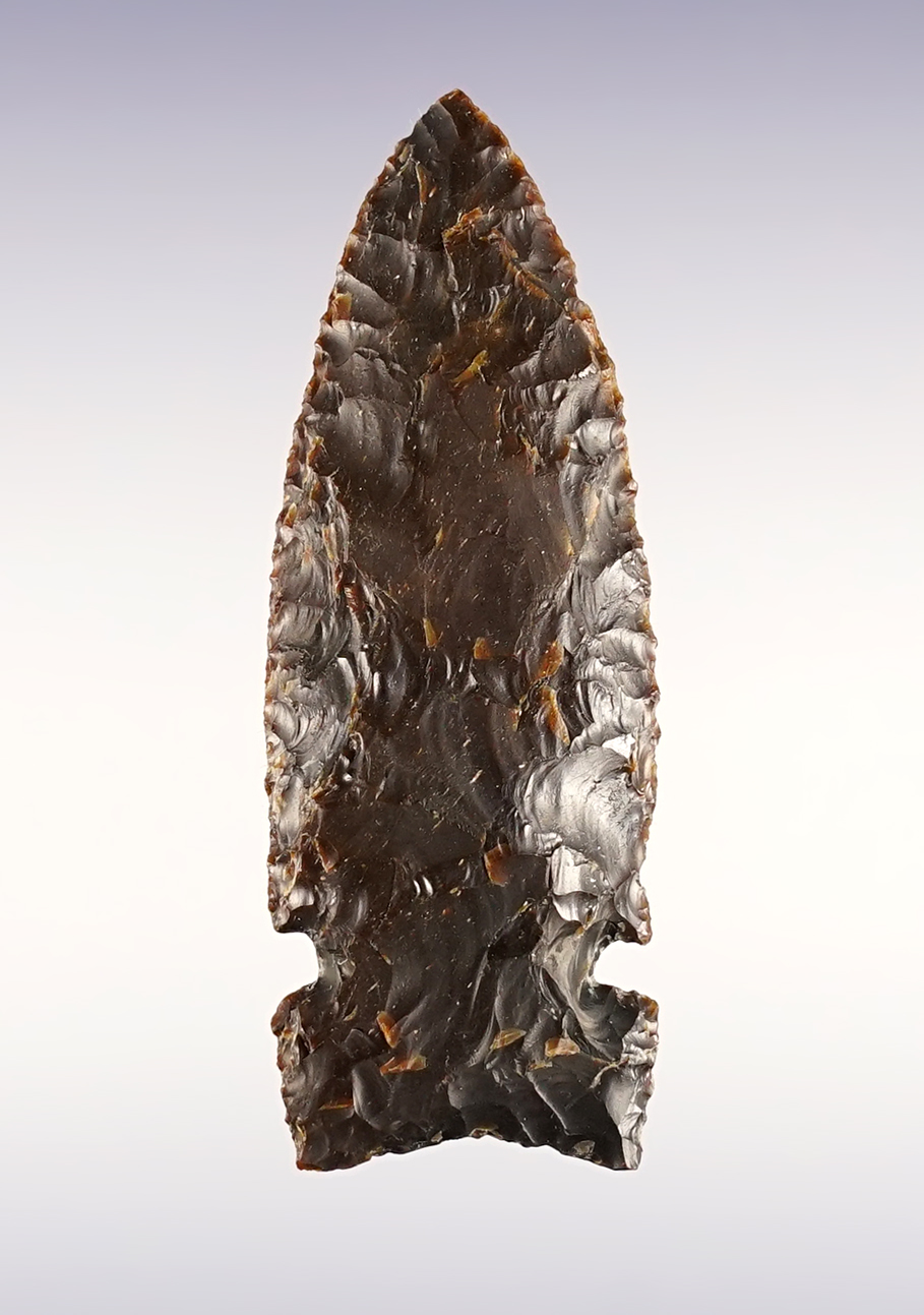 Superb 2 3/4" Northern Side Notch - Southern Oregon near Crump Lake, Lake Co. in the 1960's.