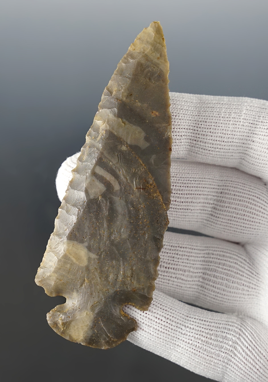 Nice! 4" Dovetail made from beautifully banded Hornestone that is nicely beveled. Kentucky area. 