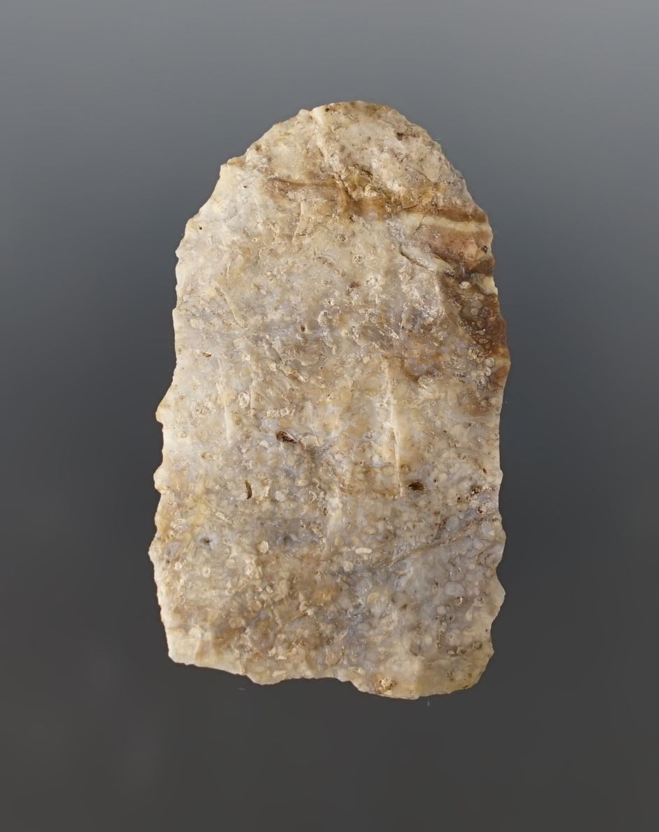 Colorful 2 3/16" Milnesand found in Travis Co., Texas. Comes with a Rogers COA.