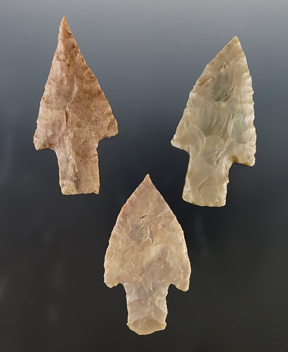 Set of 3 Texas Bulverde points in excellent condition. The largest is 2 9/16". 