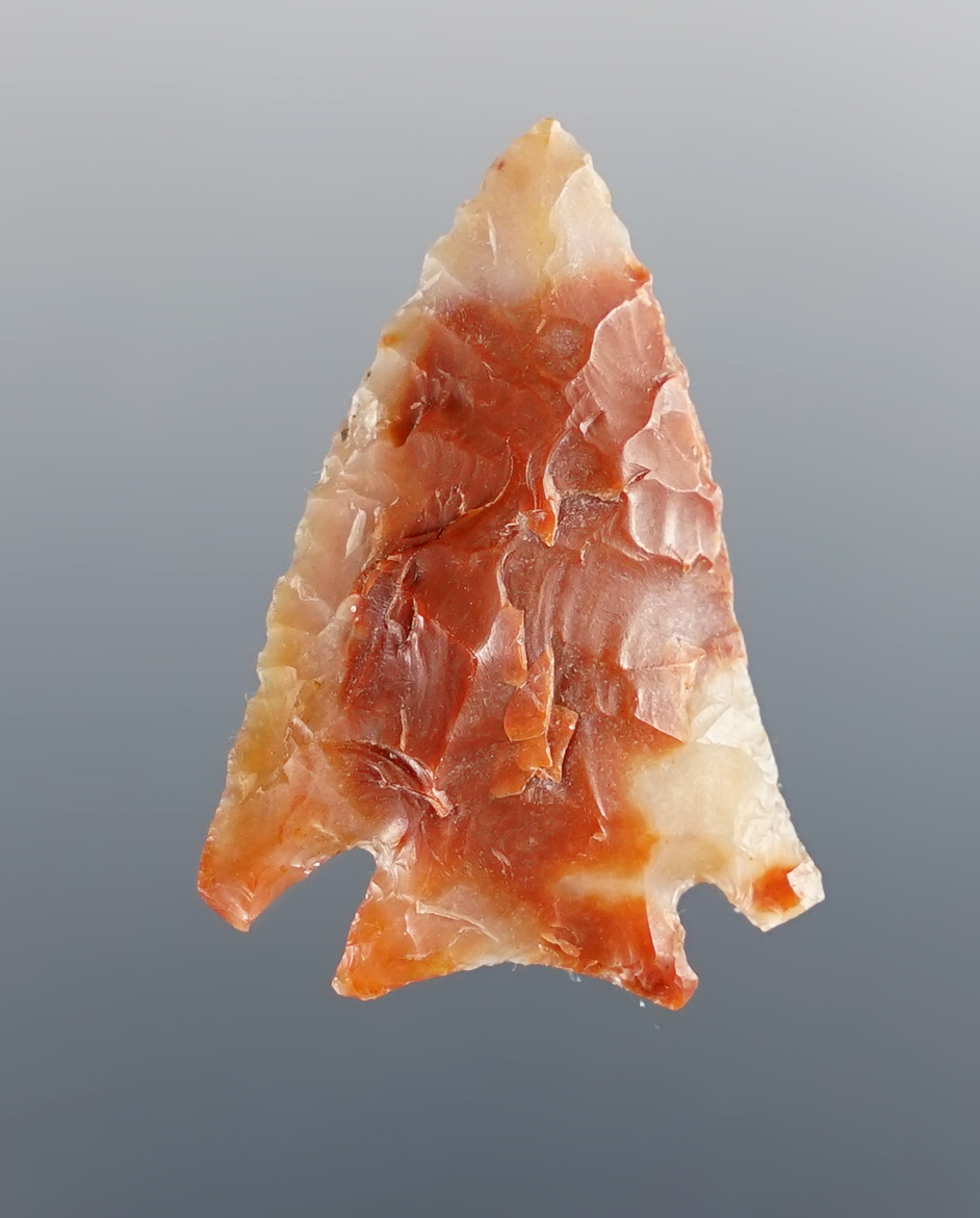 1 1/4" Chalcedony Snake River Dart Point. Found near Mid-Columbia River.Washington/Oregon.