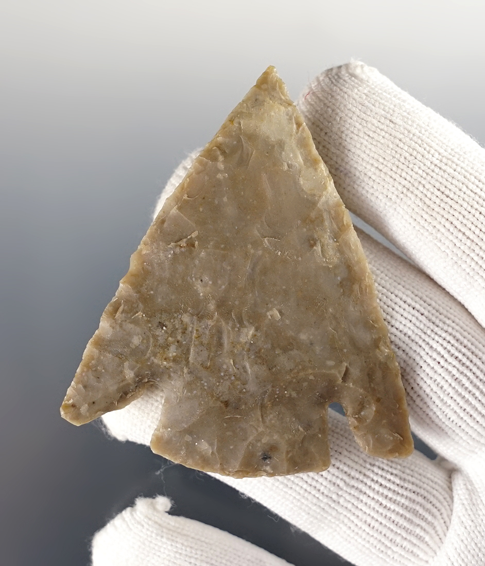 2 3/8" Castroville found in Real Co., Texas. Well patinated. Ex. Bill Arnold. Comes with a COA.