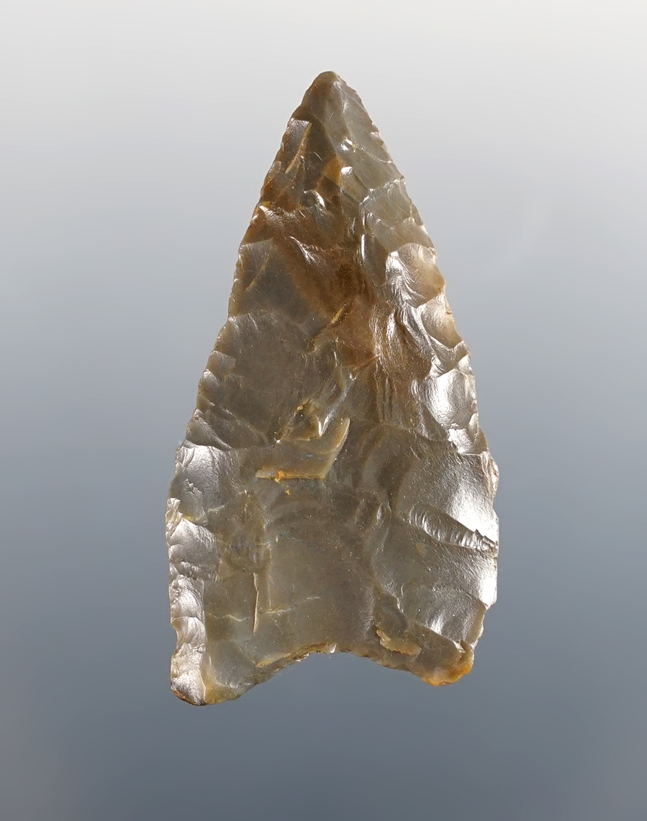 1 11/16" Paleo Meserve found in a river in Tulsa Co., Oklahoma. 