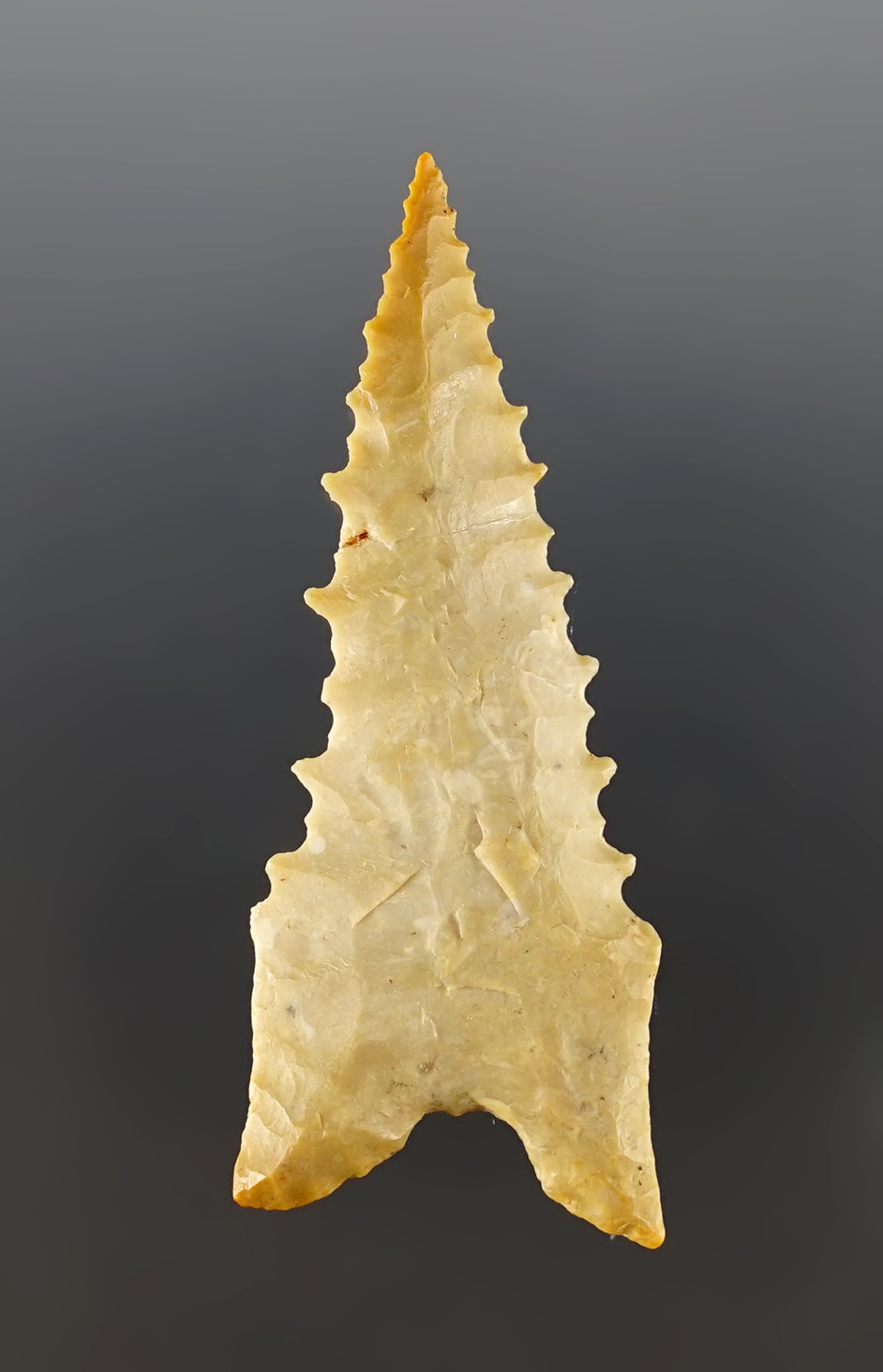 Incredible serrations on this 2 3/8" Dalton found in Southern Illinois. Ex. Joe Pavelonis.