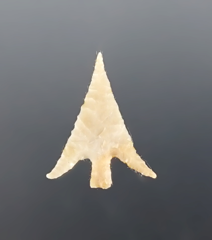 SUPERB! 15/16" Columbia Plateau found near the Columbia River - Oregon/Washington area.