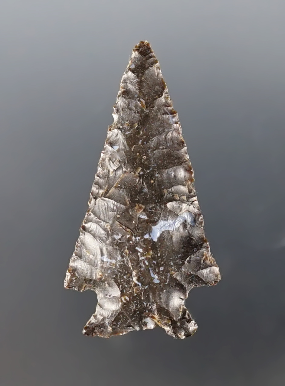 1 3/4" Snake River made from attractive speckled flint. Found in the Oregon/Washington area.