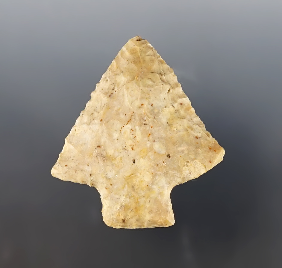 2 5/16" Abby that is well patinated found in Florida.