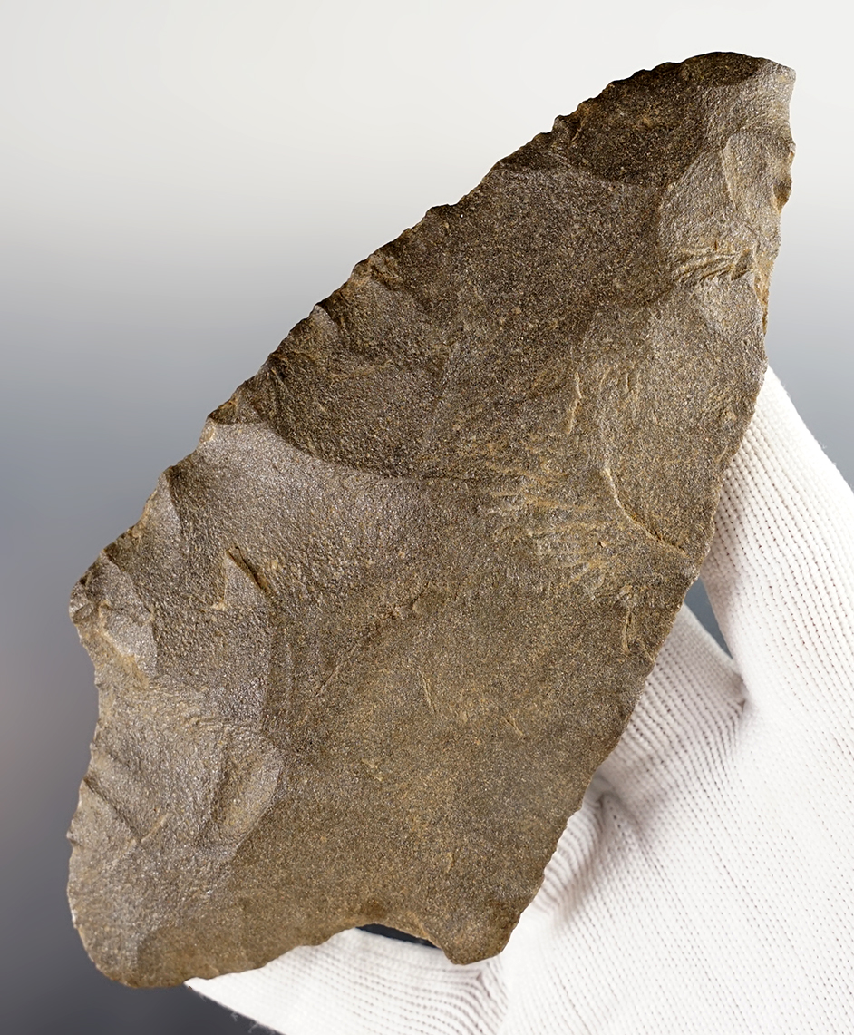 Large 5 5/8" Morrow Mountain found in North Carolina. Made from Quartzite. Motley COA.