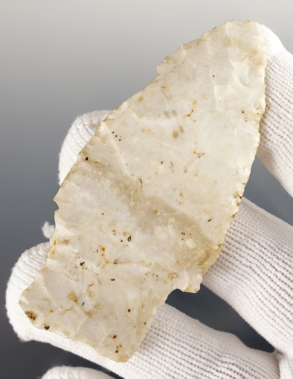 2 15/16" Scottsbluff found in Cass Co., Texas. 