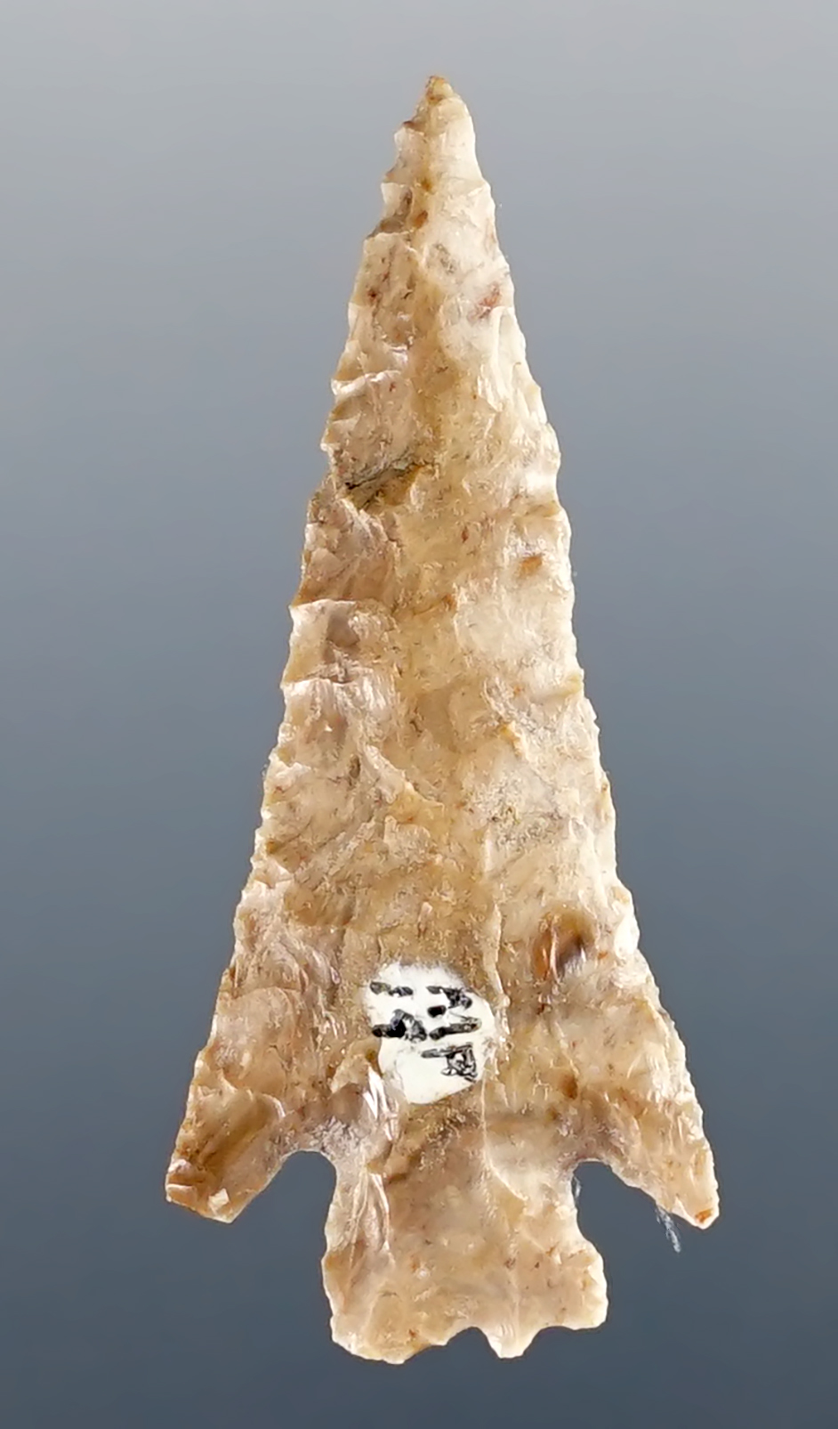 1 3/8" Columbia Plateau Split Stem. Found near the Columbia River. Washington/Oregon.