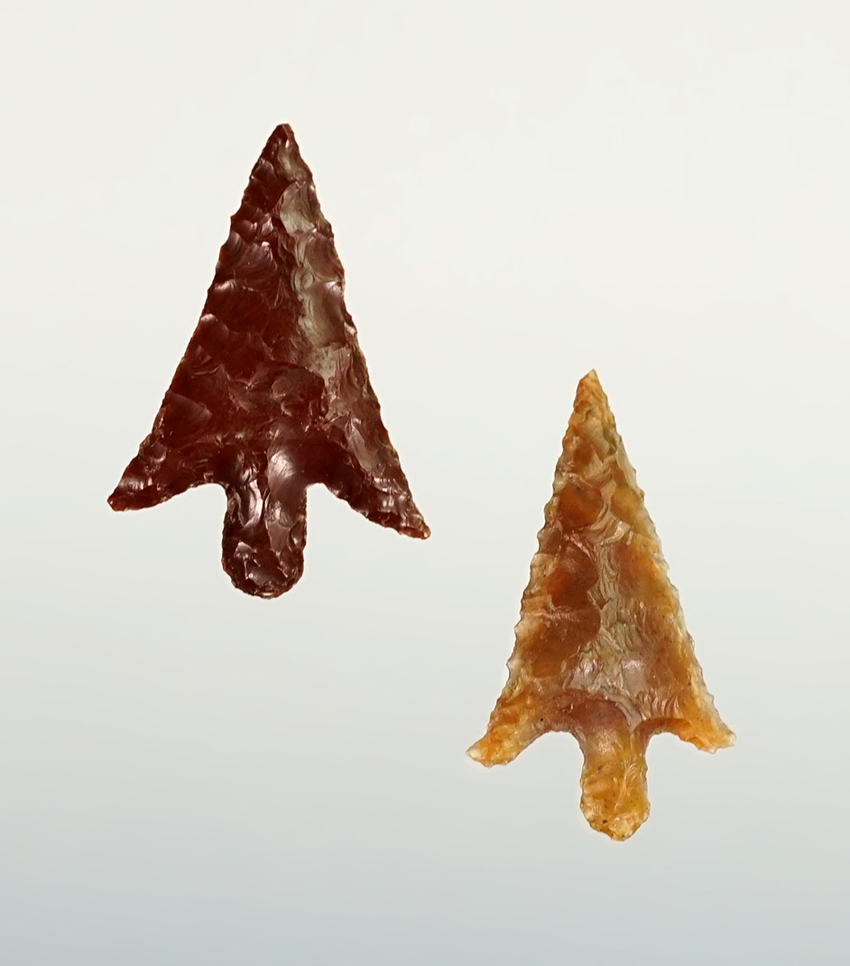 Pair of fine Columbia Plateau points found near the John Day Rapids in Oregon. 