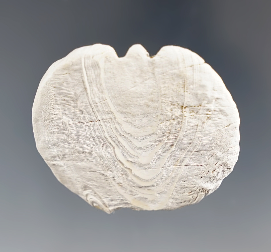 Large 1 7/16" Runtee found at the Upper Cayuga Great Gully Site in New York around Union Springs.