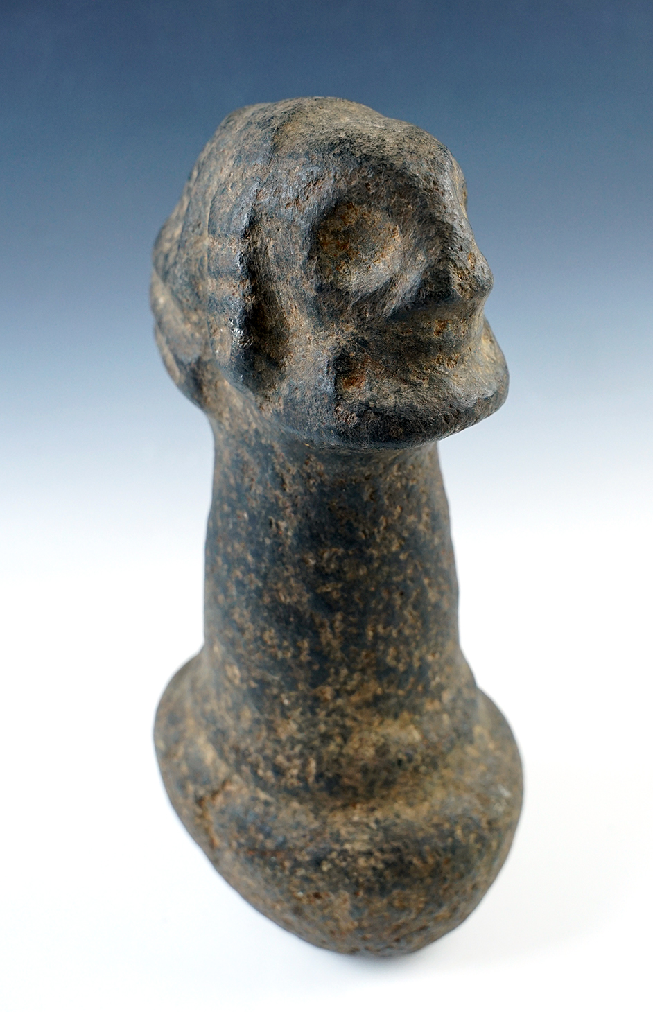 Large 8 3/4" Taino Pestle with transformation Human/Zoomorphic Zemi form on top. 
