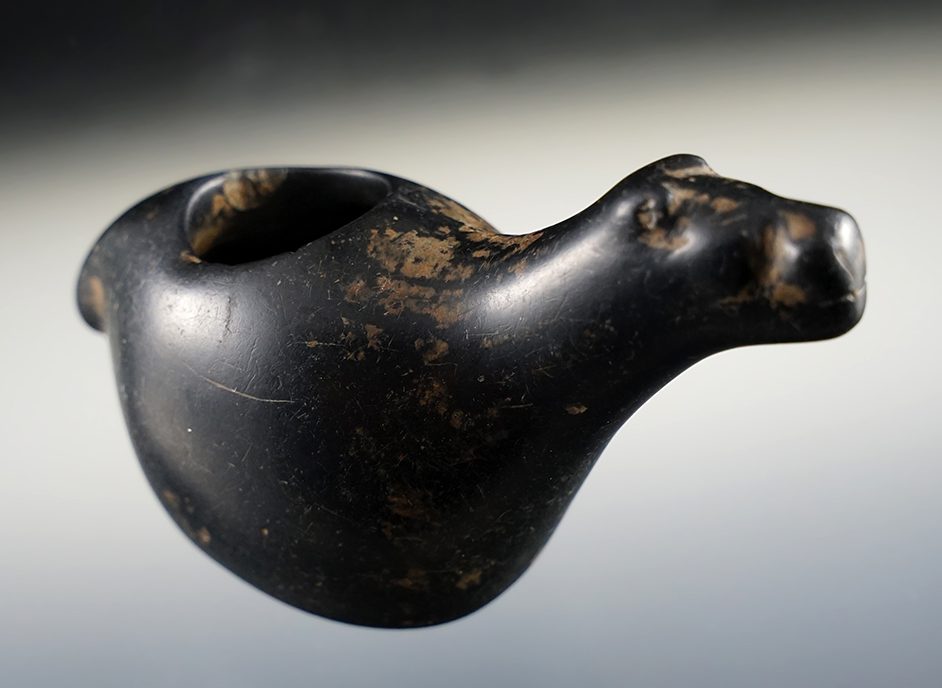 Nicely polished 3 7/16" Llama Canopa from South America. Circa AD 1470-1523.
