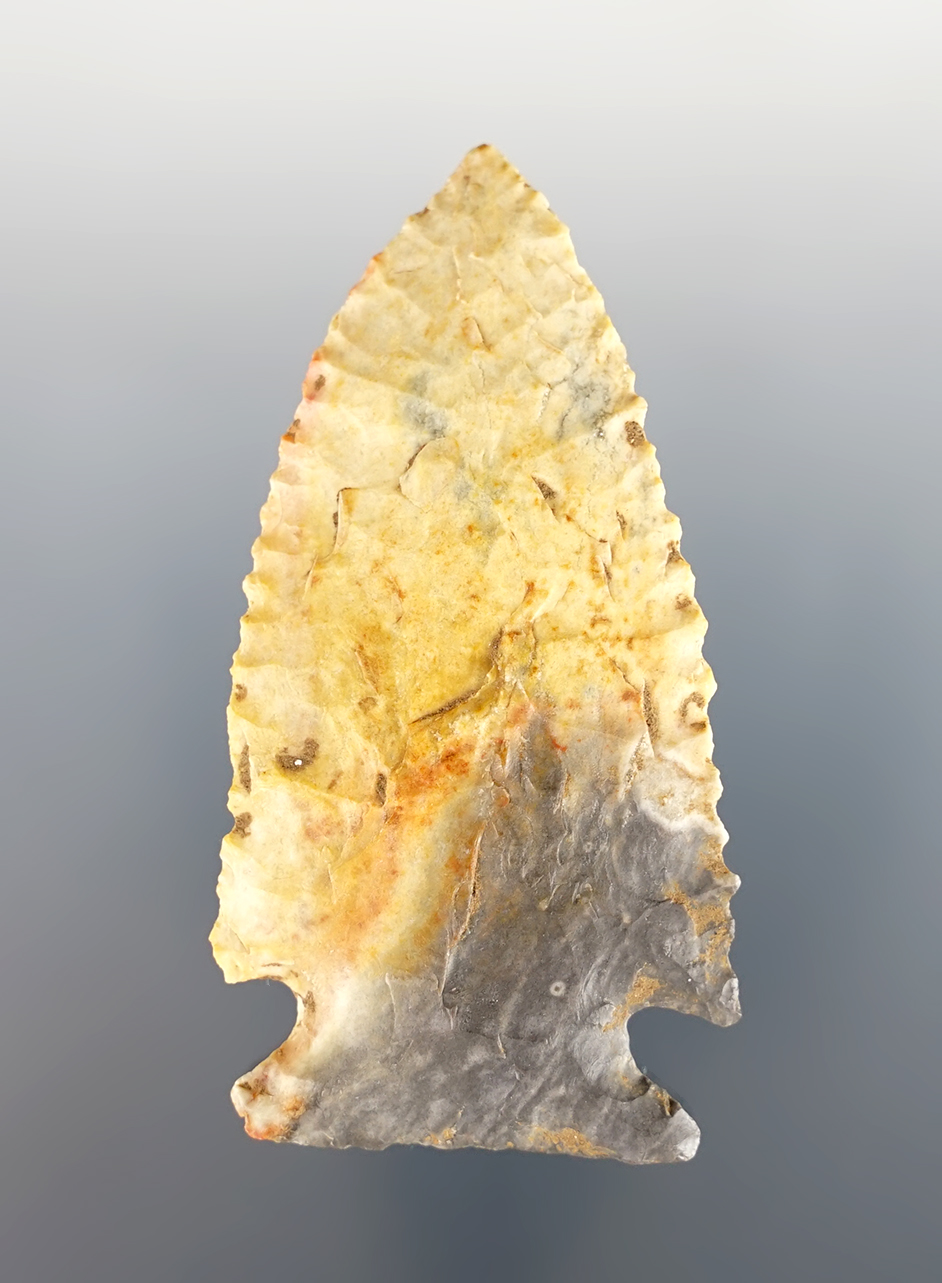 2 9/16" Archaic Cornernotch made from exotic colored Flint. Found in Simpson Co., Kentucky.  
