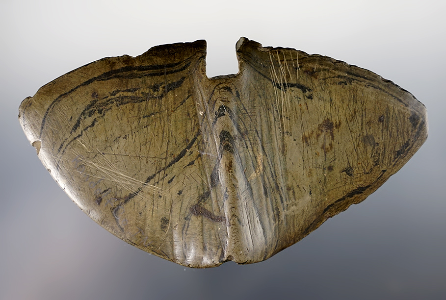 5 7/16" Single Notch Butterfly Bannerstone found in a gravel pit in Randolph Co., Indiana. Pictured.