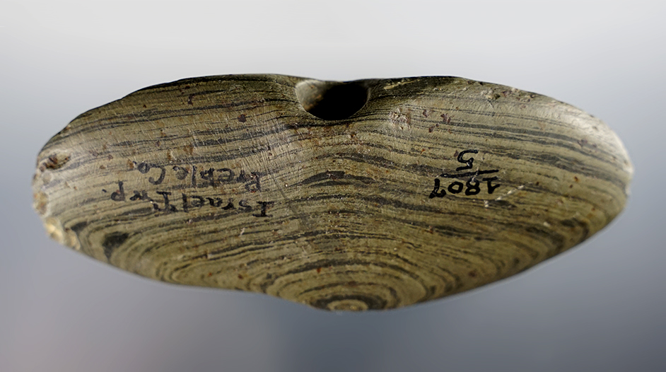 4 3/16" long Wing Bannerstone found in Israel Twp, Preble Co., Ohio. Ex Dr. Gordon Meuser.