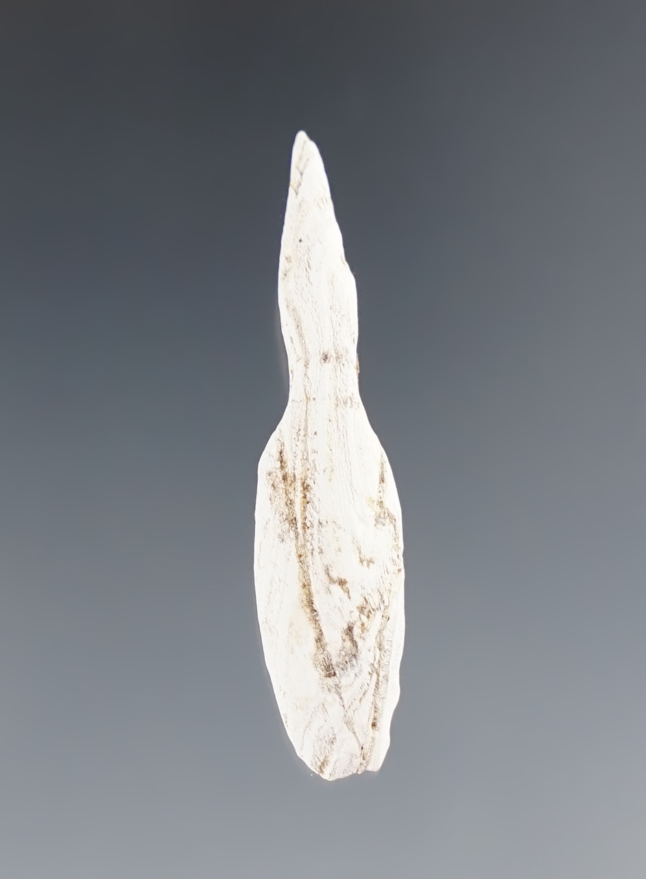 Rare 1 1/2" Shell Goose Effigy found around Upper Cayuga Co., New York at the Great Gully Site.