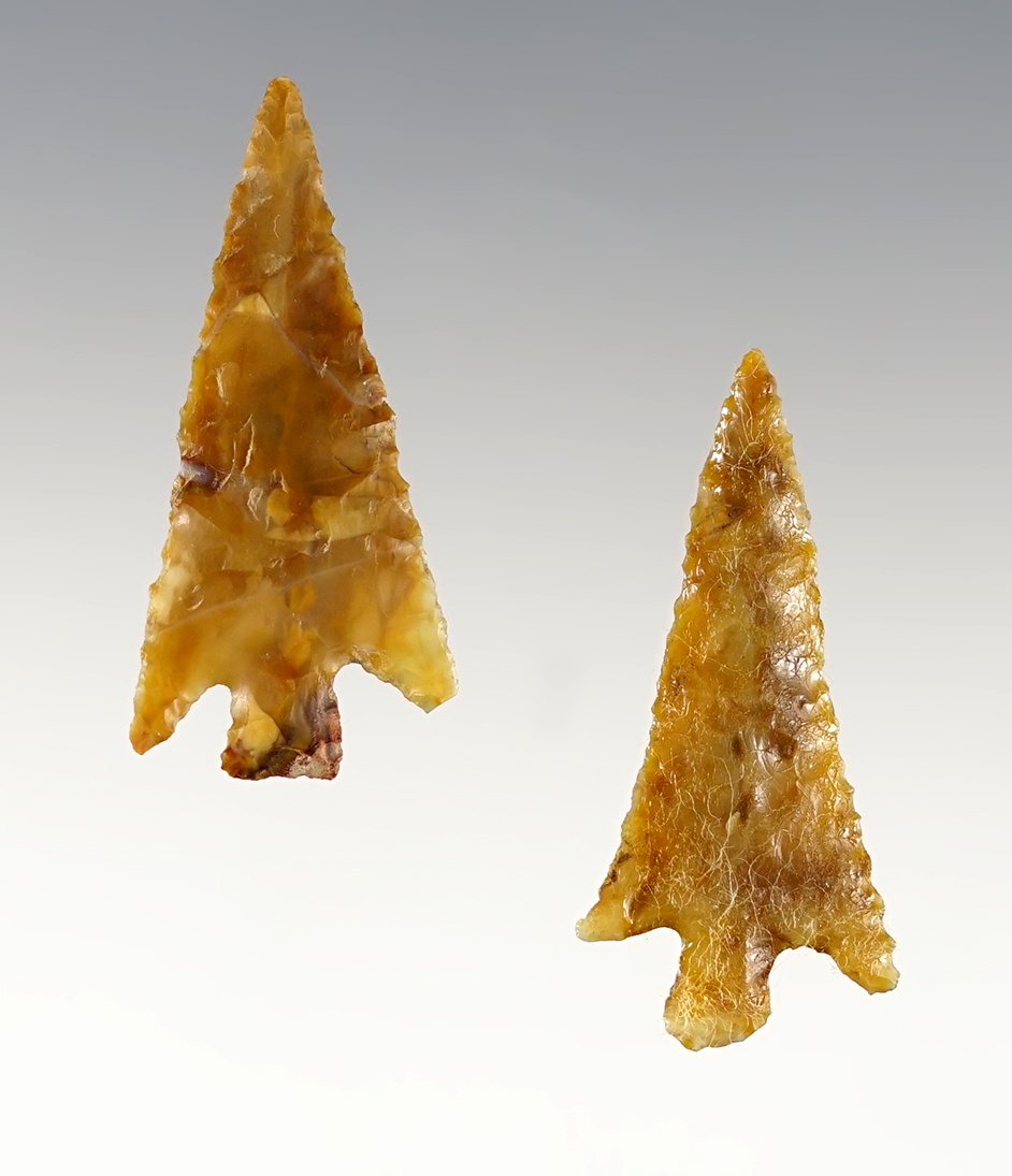 Pair of fine points found in the Oregon/Washington area. Both are in excellent condition. 