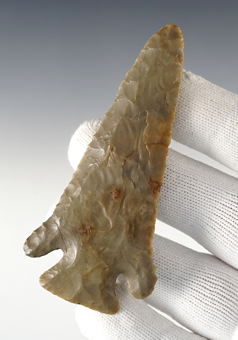 3 11/16" Kentucky Lost Lake made from Hornstone. One ear restored. Davis COA