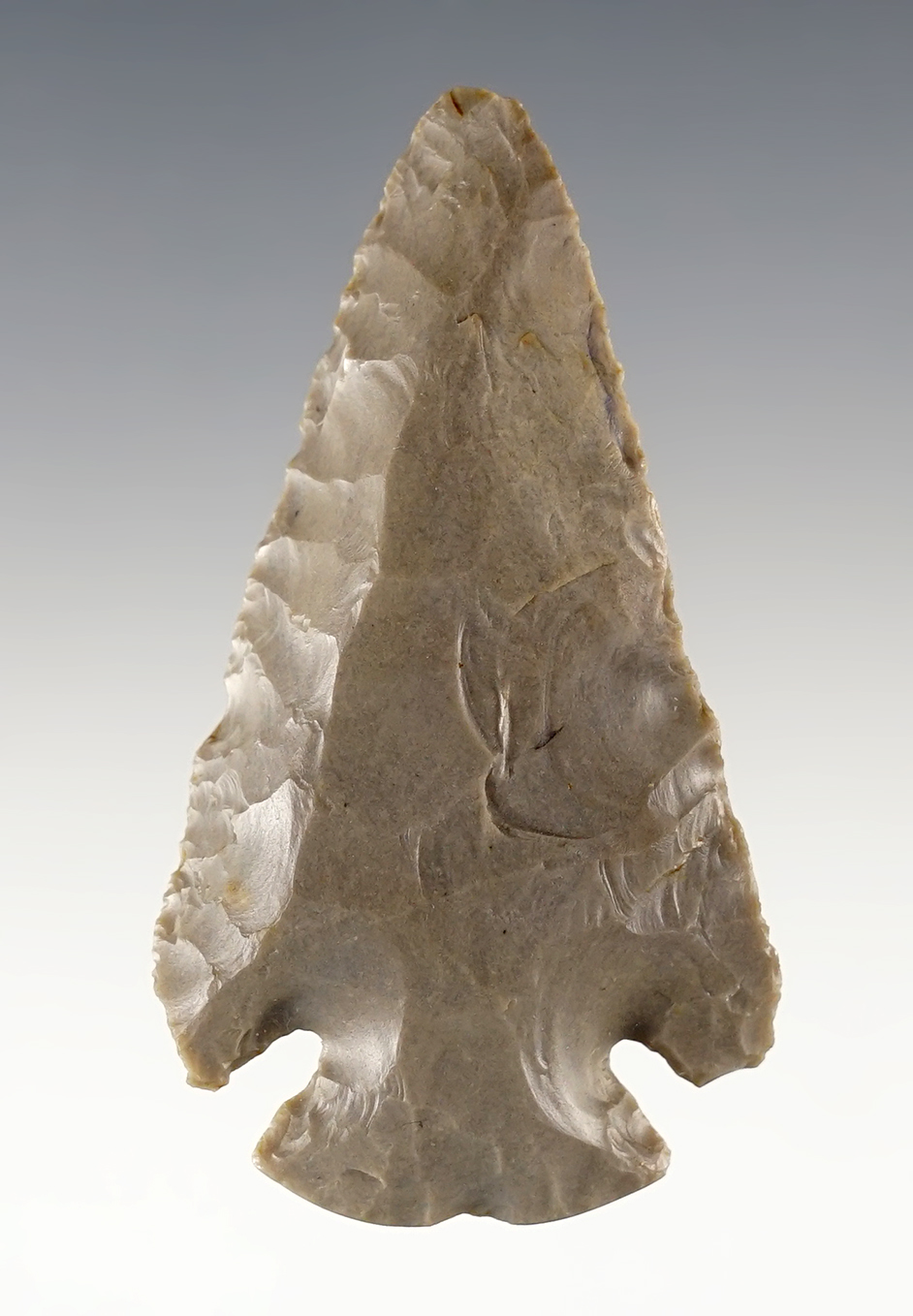 2 1/2" Kentucky Dovetail made from patinated Hornstone. Steeply beveled. Davis COA