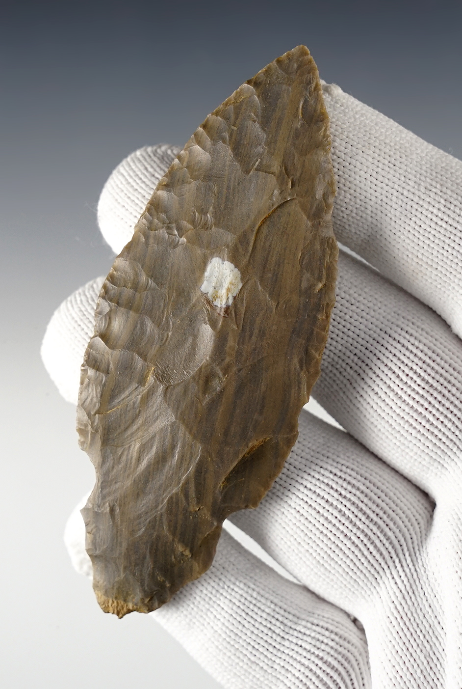 3 7/8" Indiana Turkeytail made from nicely banded Hornstone. Comes with a Bennett COA.