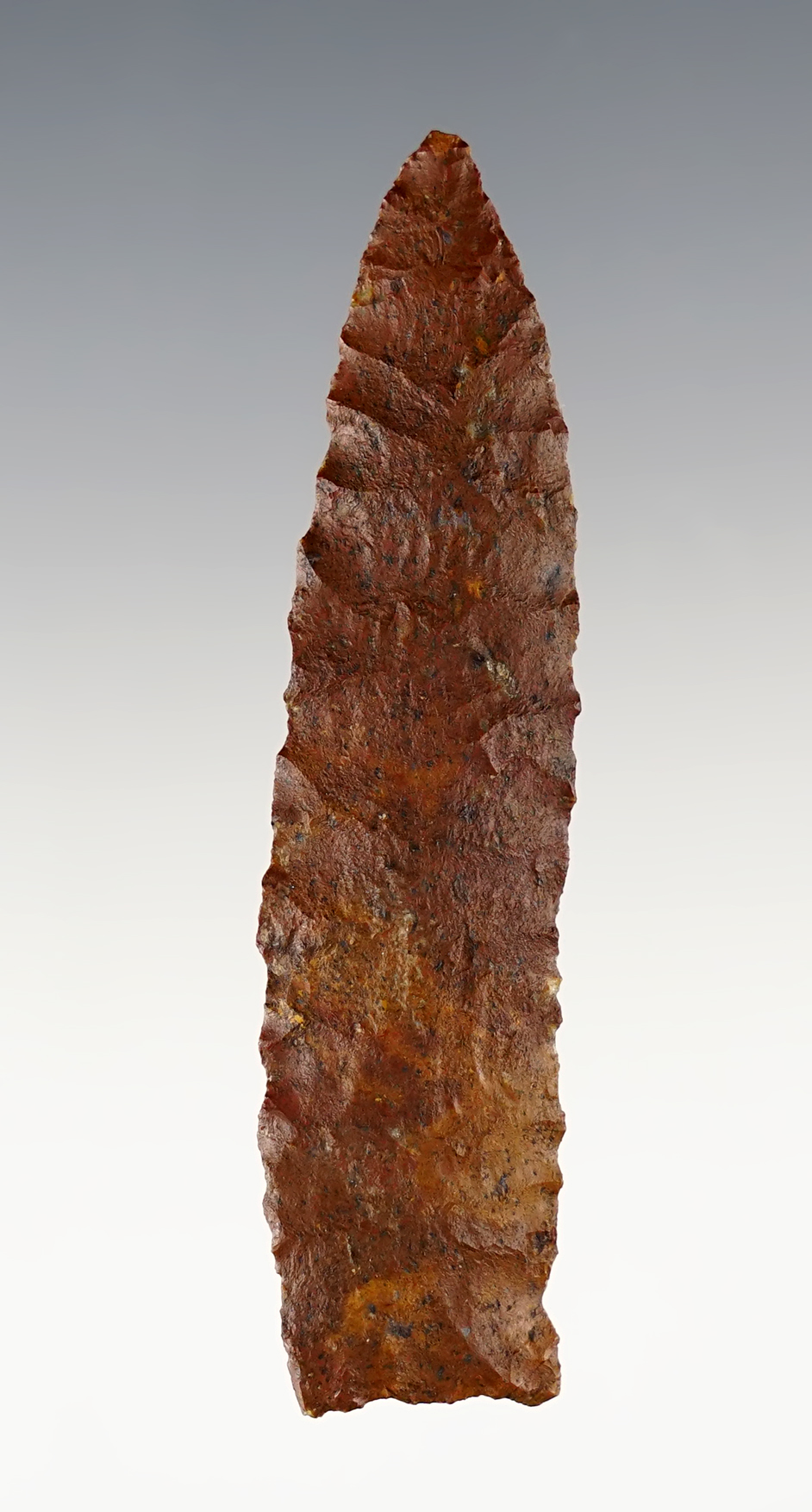 Incredible flaking on this 2 13/16" Paleo Knife. Washington/Oregon. Ex. Norma Berg.