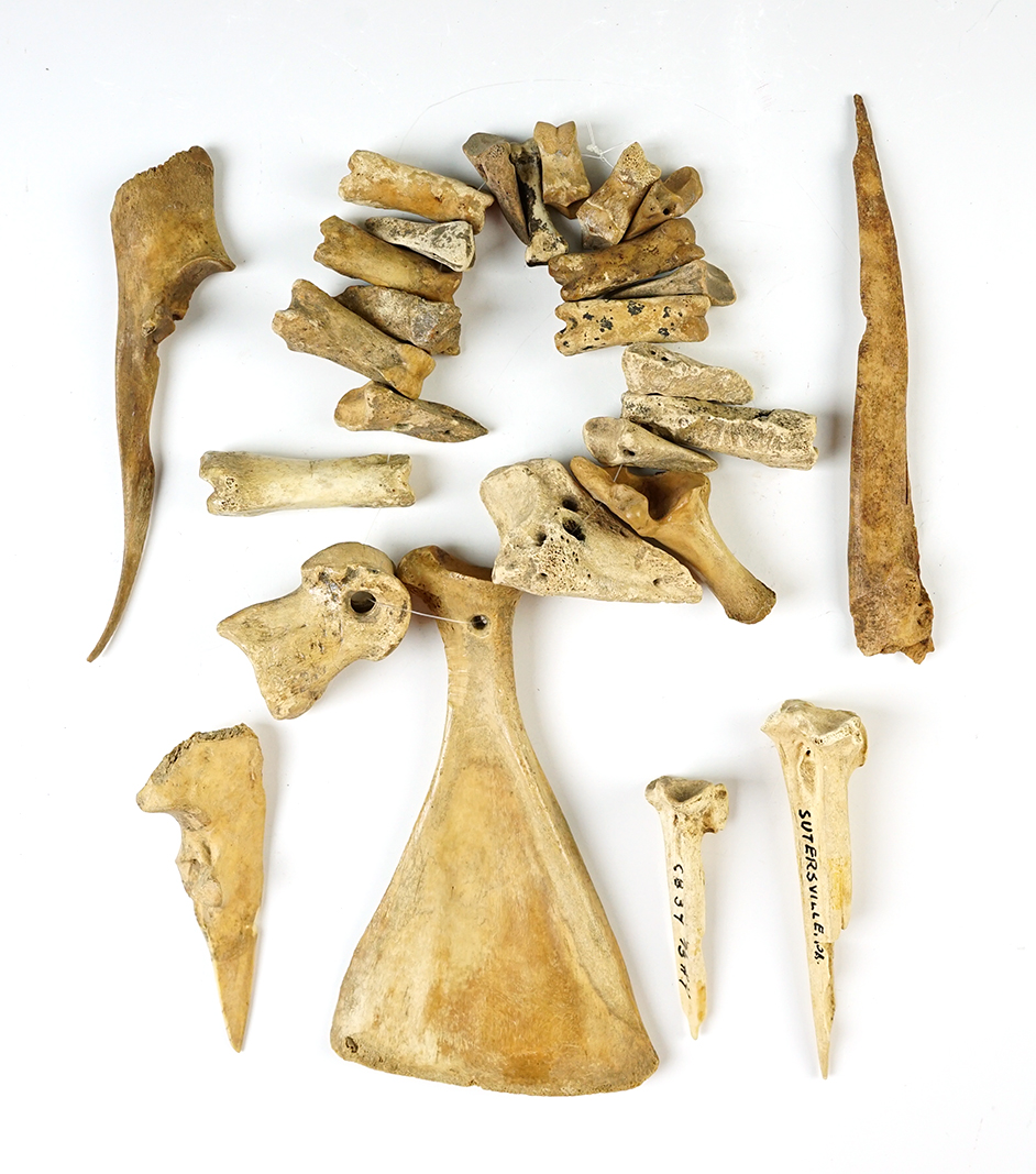 Group of bone artifacts - Suttersville, Pennsylvania. Largest is 5 1/4".