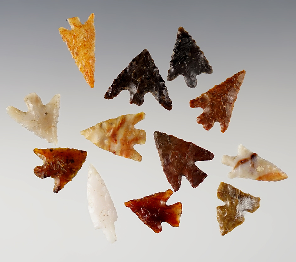 Set of 12 well made points  found near the Columbia River, Washington/Oregon. 