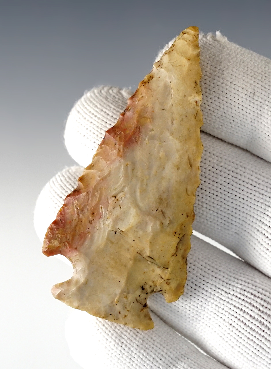 2 3/4" steeply beveled Archaic Cornernotch - Boyle Chert. Kentucky. Davis COA, G-8.