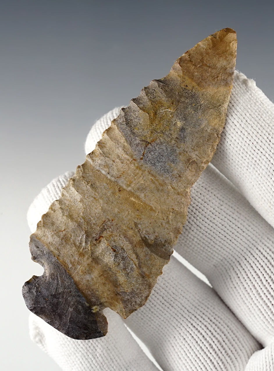3 7/16" Illinois Dovetail with heavy basal grinding. Patinated Avon Chert. Bennett COA.