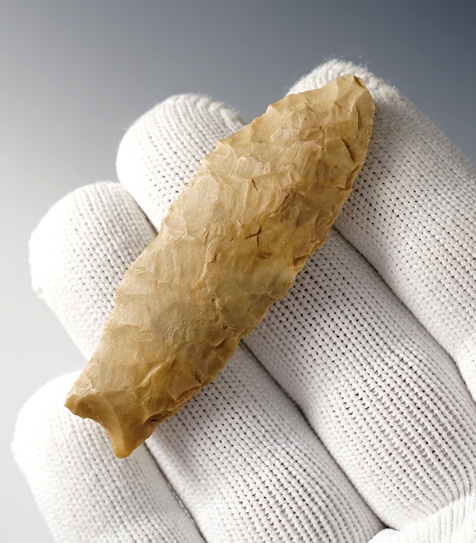 2 1/2" Victoria found in Bexar Co., Texas. Excellent grinding to the basal area. Rogers COA.